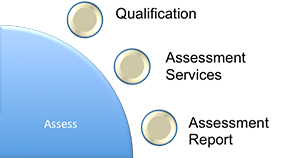 Iconic Methodology Framework Assess