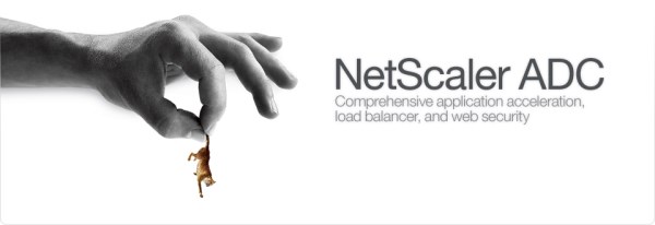 Citrix Netscaler